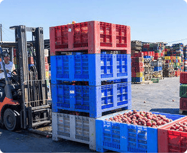 Exporters and Agribusinesses