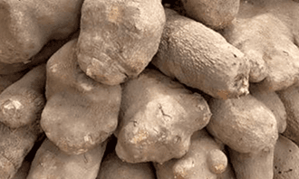 Yam Tubers