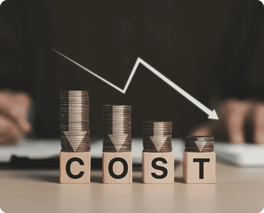 Cost Effiency