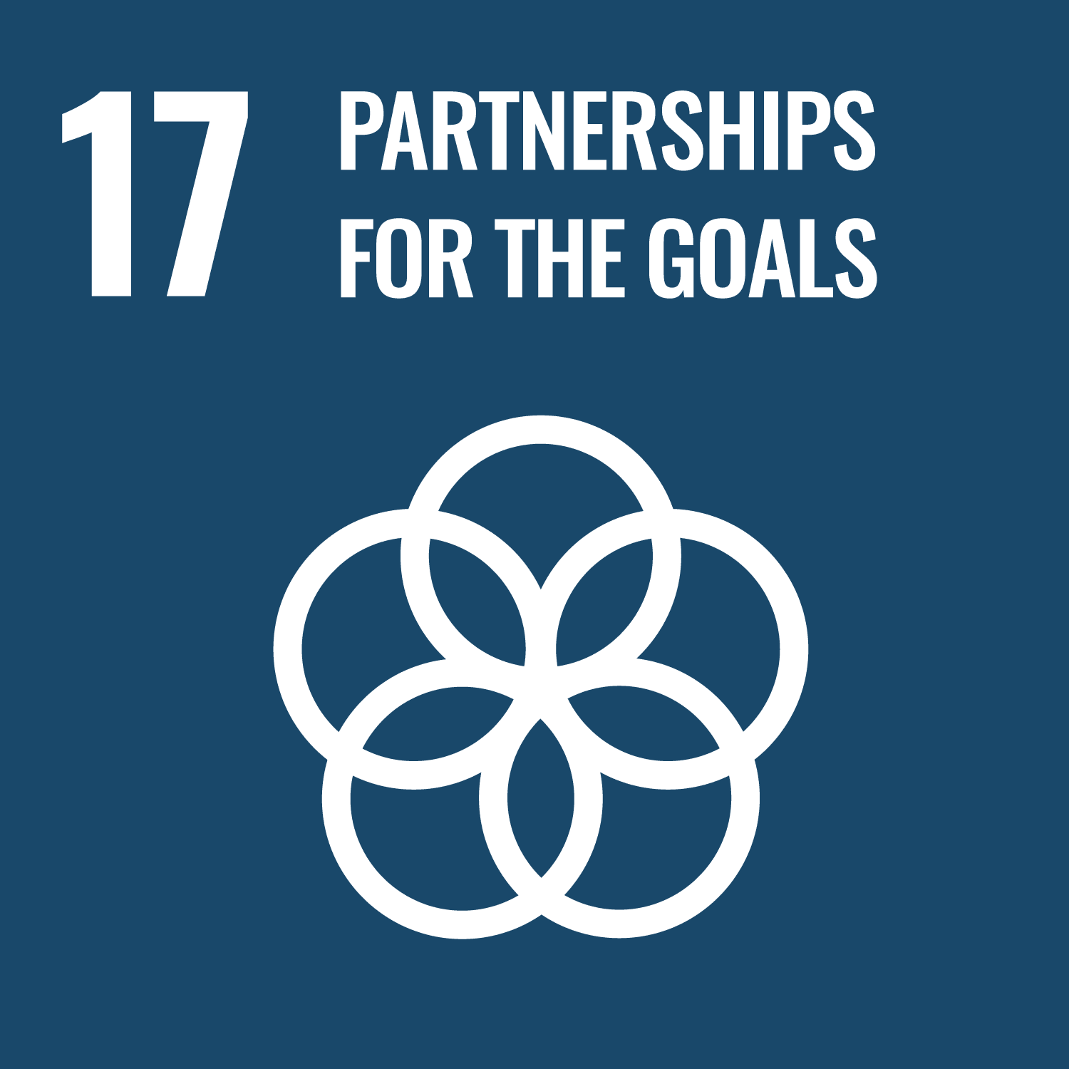 SDG 8